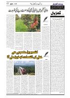 GADYAL  27  OCTOBER  2024-images-4