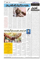 GADYAL  02  DECEMBER  2024-images-4