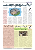 GADYAL  23  DECEMBER  2024-images-3