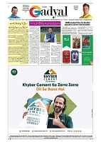 GADYAL  26  FEBRUARY  2025_page-0008