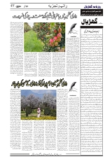 GADYAL  21  MAY   2024-images-4